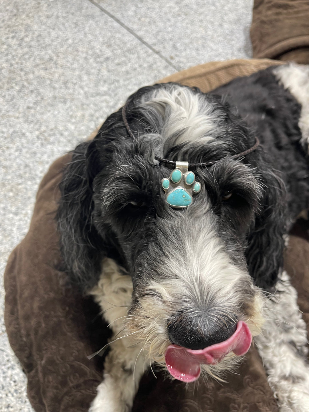 Turquoise Dog Paw Pendant