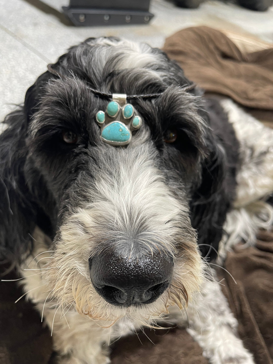 Turquoise Dog Paw Pendant